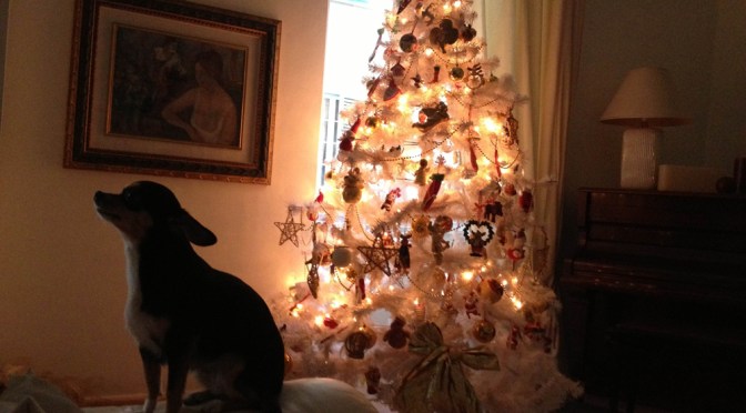 Mattia “le vostre case” – Natale 2012