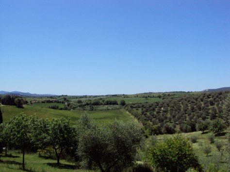 Maremma - Panorama dalla casa di Valeria Rossi