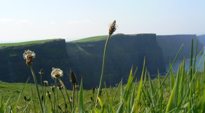 11 Dublino | Scogliere di Moher e Paesaggio Lunare di Burren