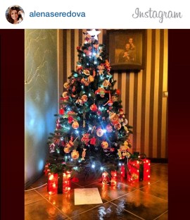 Alena Seredova
